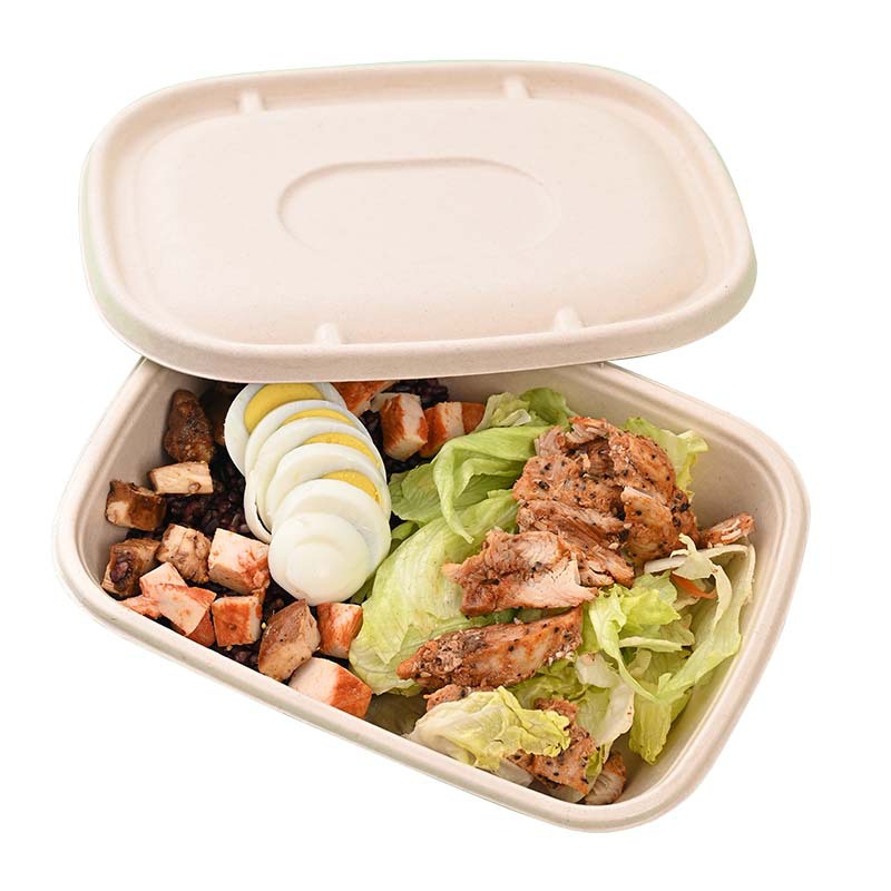 Caja de almuerzo degradable pulpa caja de comida rápida fitness caja de almuerzo comida ligera ensalada para llevar caja de embalaje caja de almuerzo desechable
