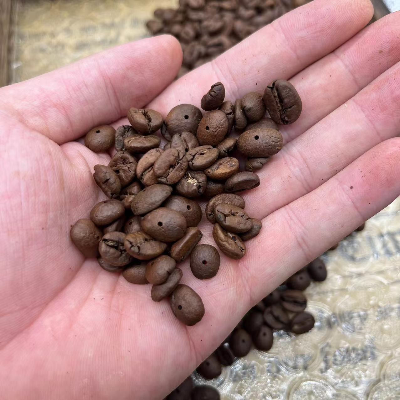 Punched Coffee Bean Semi-finished Products Wholesale Stall Bracelet dly Coffee Bean Bracelet Handmade Coffee Bead Bracelet