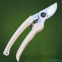 ��֦������֦��������߿ռ�֧��һ�����l���԰��]���Ҵ����Ƀ���