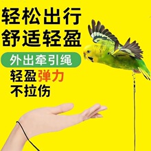 �W�^�B���w���P��Ƥĵ���_�h���L���B�����K����