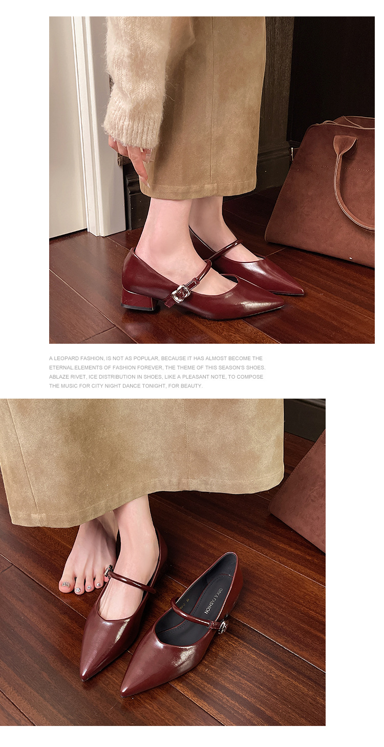 Damen Mary Jane Schuhe Mit Blockabsatz Rote Spitzschuhe_voghion.com