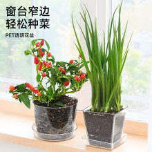 ��ʽխ�����̨�N�����߲˷Nֲ���ô�̨��ݮ���ۑ����������ϻ���