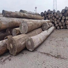 �M�ڄ���С�ͻ�ԭľС��Č�ľ�Ҿ��Ϲ�ˇƷ���ϸ��ܶ�Ӳľ