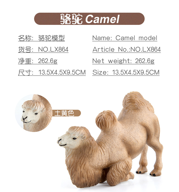 详情_04.jpg