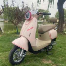 2025新款二轮轻便摩托车外贸电动车厂家批发自行车电瓶车