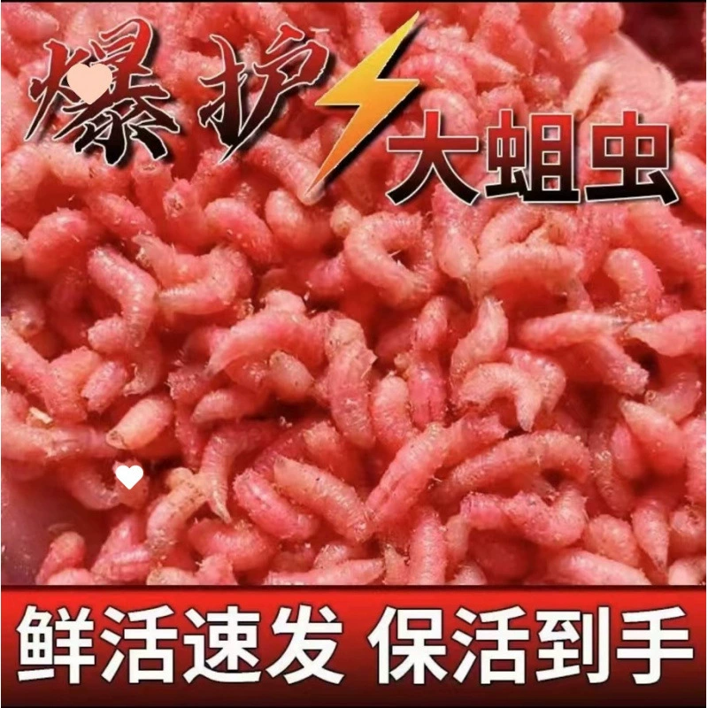 Приманка для дикой рыбалки на карася, насекомые живые приманки, опарыши, крупные мясные опарыши, красные летние приманки, свежие зелёные опарыши
