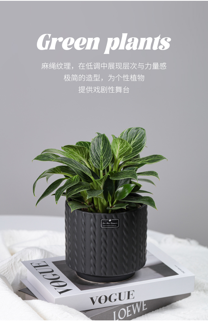 麻绳花盆_10.jpg