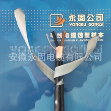 SֱNZCN-KVVP2-22-2*4ȼͻOٰl؛늏Szb|