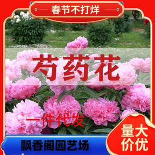 һ�����l��ș����N�ٺϻ��ذꎧѿ���K�N���̨����ͥԺ�ͺ�����