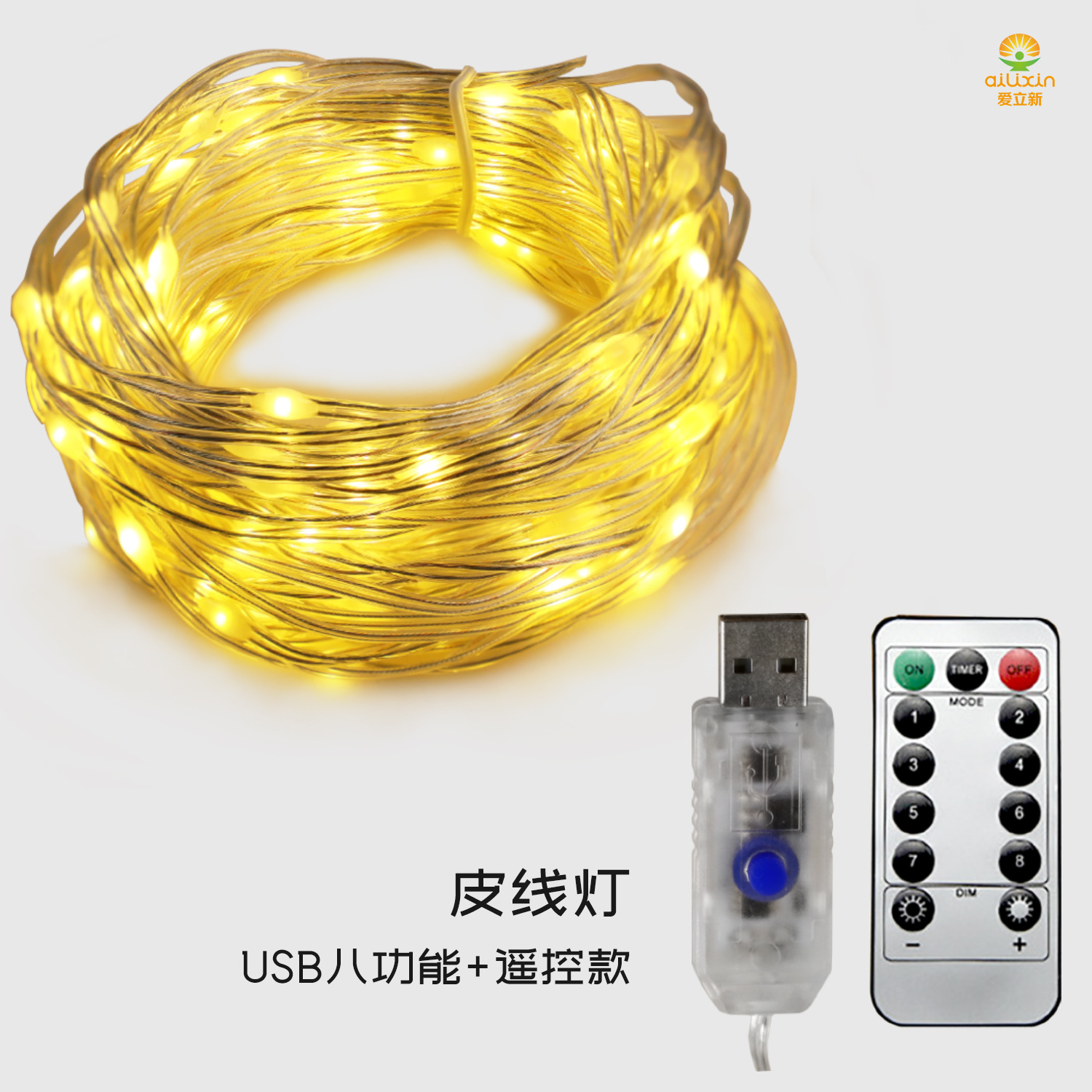 皮线灯-USB八功能+遥控款