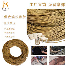 直销装饰藤条PE常春藤仿真藤条枝藤塑料藤条沙发配件户外家具配件