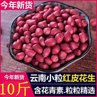 �S��ֱ�N��؛�|���t������������ϻ������r�tƤ����С��������