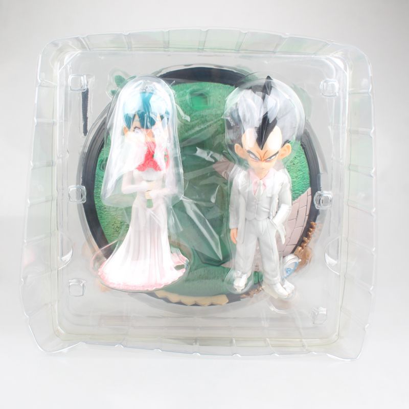 Dragon Ball Super Wedding Scene 1