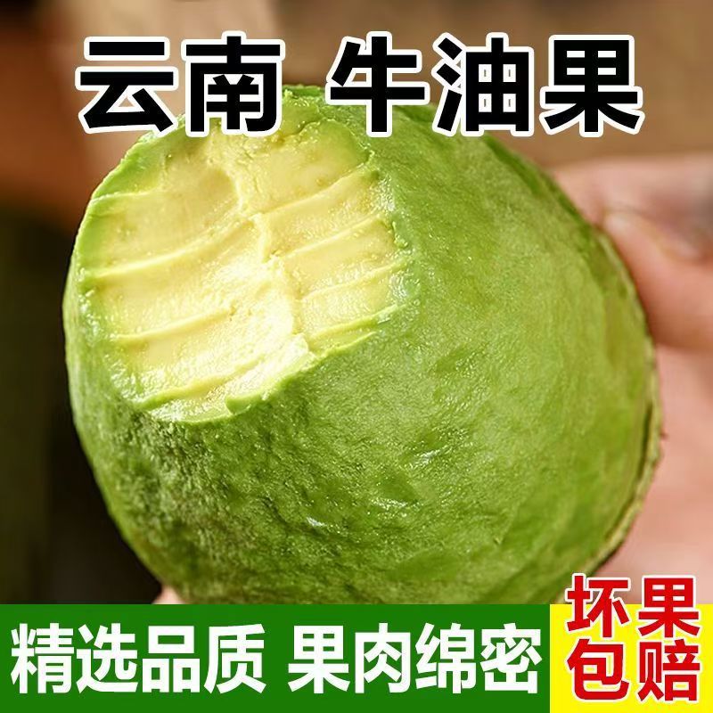 Avocado Yunnan Domestic Hass Fresh 2.5kg Large Fruit Nutritional Supplement for Pregnant Women and Babies Fruit Avocado Free Shipping