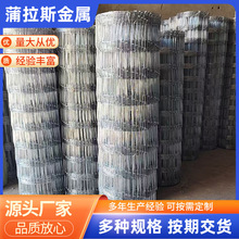 ����\䓽z�W���Pţ�ھWȦ���F�z�W�rţ����@���o�W�Bֳ�W���ھW