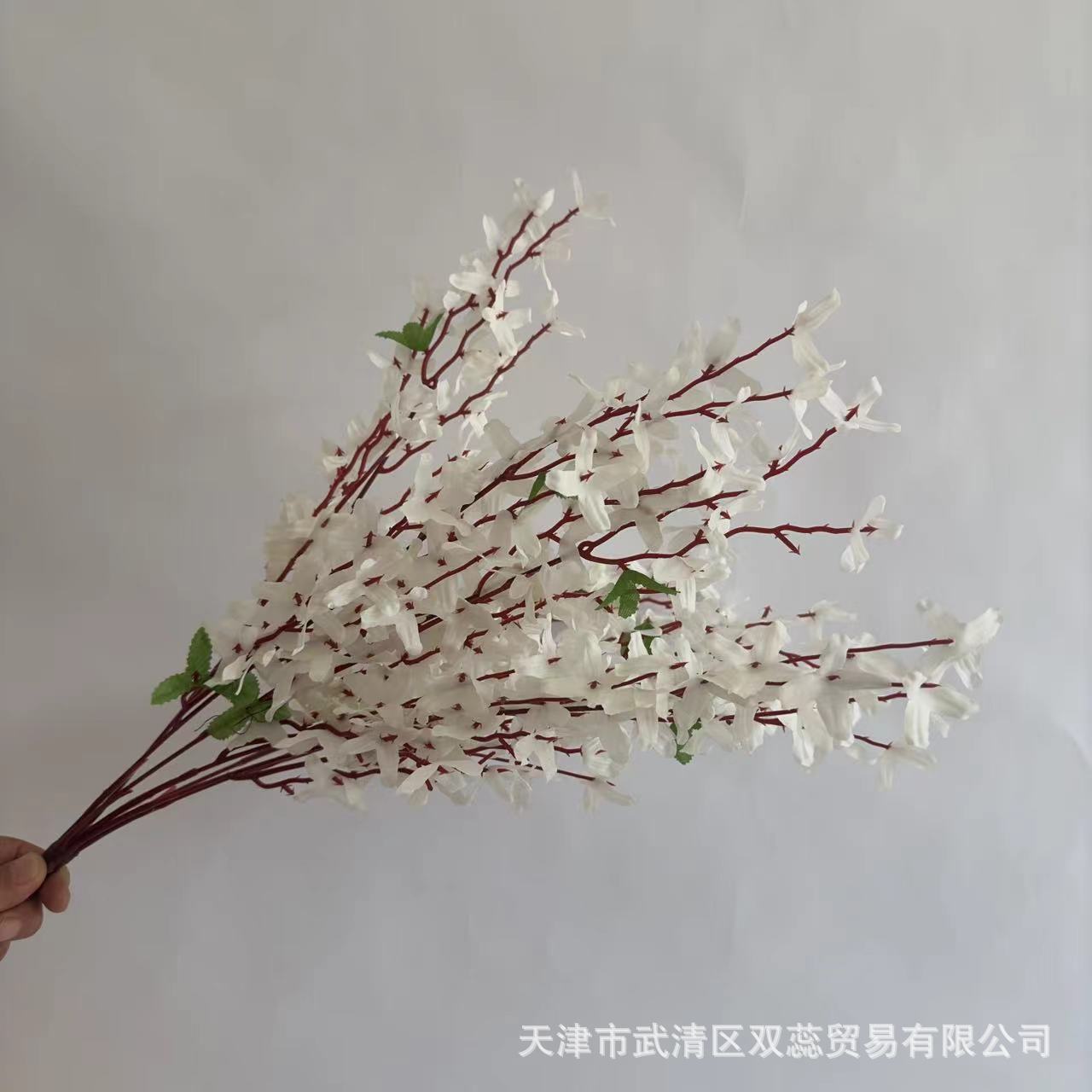 하얀색