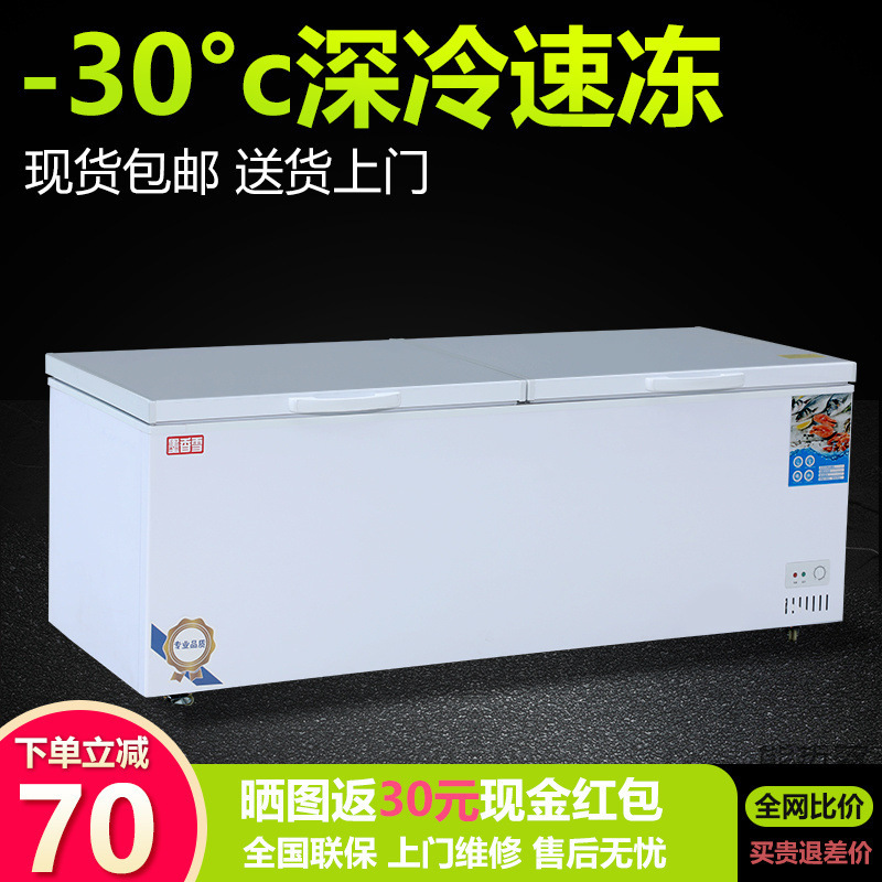 Freezer Commercial Large-Capacity Frozen Refrigeration Extra Large Horizontal Single Temperature Double Temperature Copper Tube Quick-Freezing Supermarket Freezer