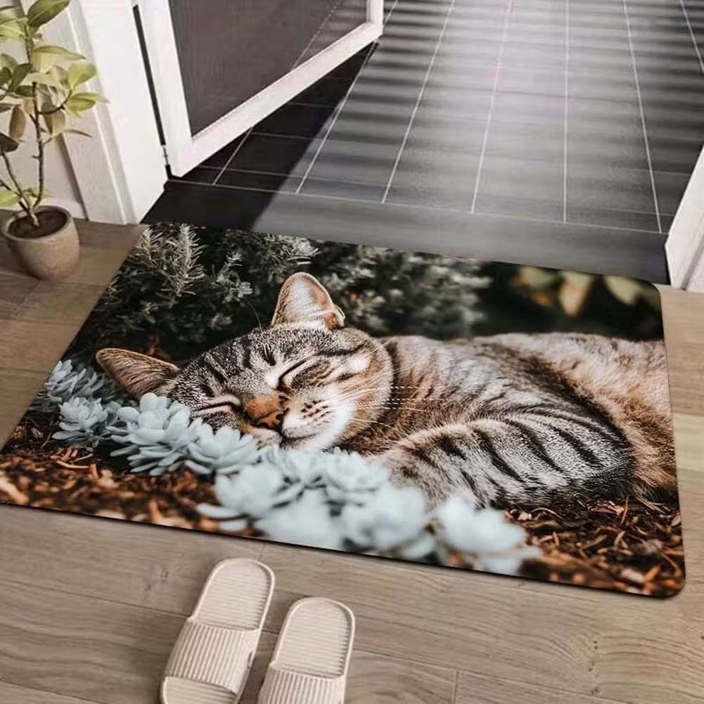 Cross-border cute pet cat decorative floor mat, bathroom absorbent skin-friendly foot mat, easy to maintain, entryway entrance mat, available for dropshipping