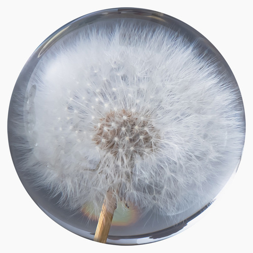 Dandelion Crystal Ball Ornament as Christmas Gift for Girlfriend, Sunflower Lover Crystal Ball Birthday Gift for Girls M2