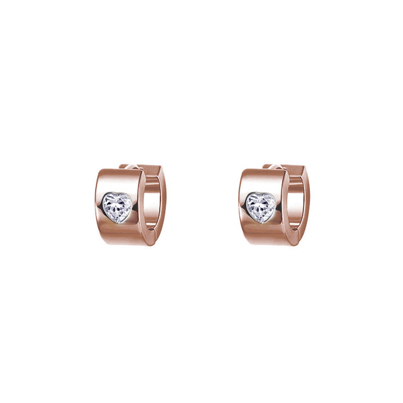 Heart Shape Pattern 1 Pair Simple Style Heart Shape Plating Inlay Titanium Steel Zircon Earrings