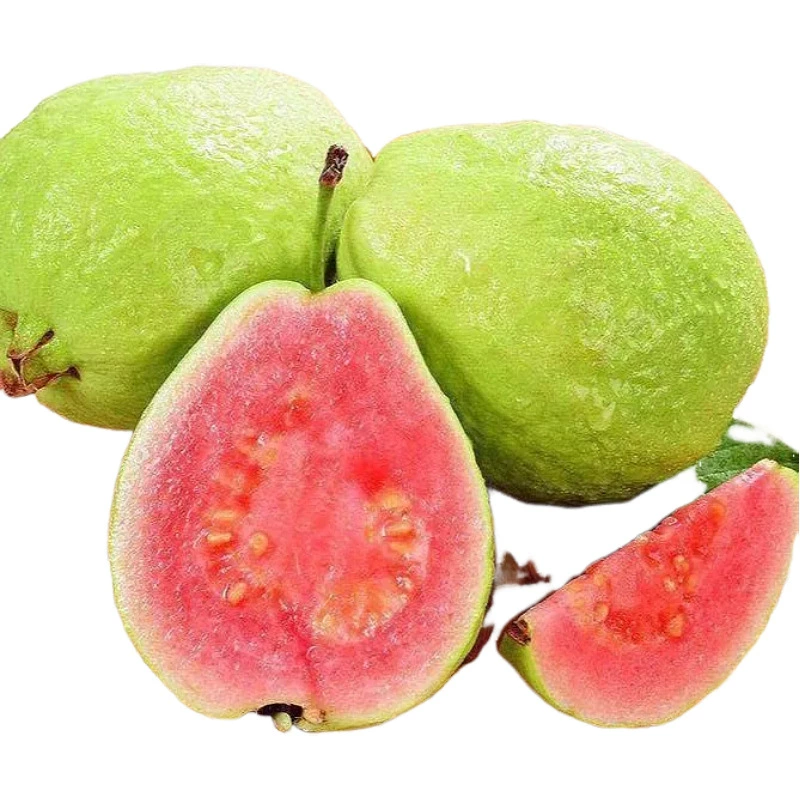 Свежие сезонные красные плоды гуавы из Фуцзяня и Гуандуна, гуава с красным мякотью, доступны для дропшиппинга.