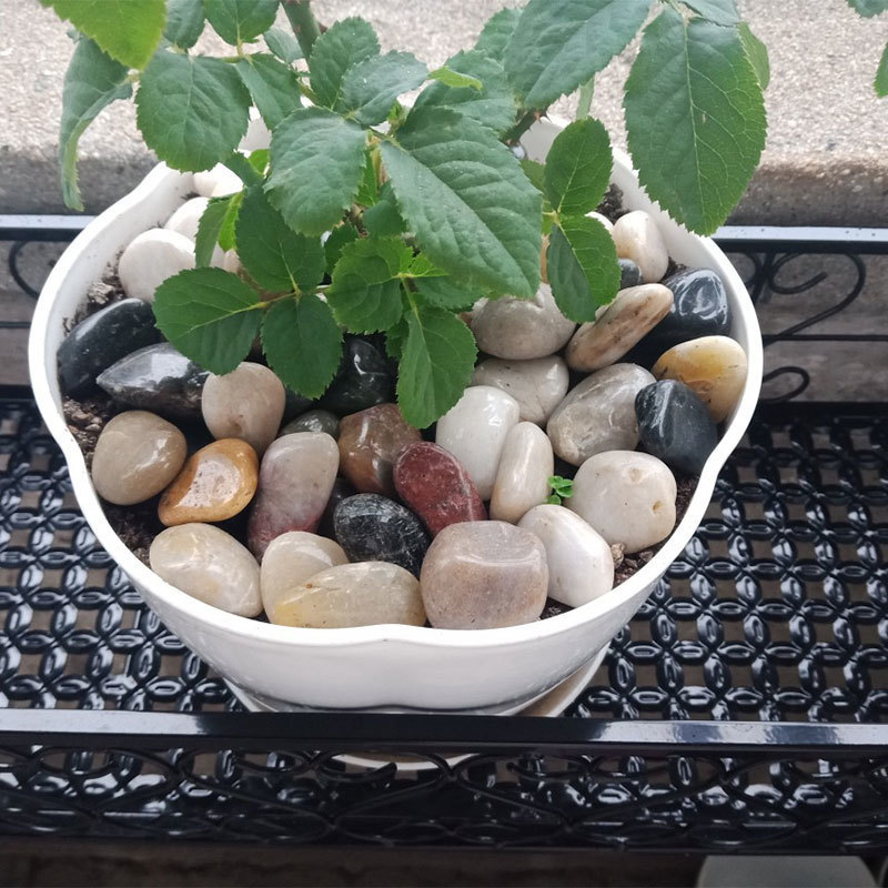 庭院鹅软石彩色石头斤鹅卵石造景天然小石子原石鱼缸花盆雨花石