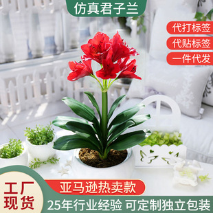 cٻ Y·廨bܔ[zmˮ