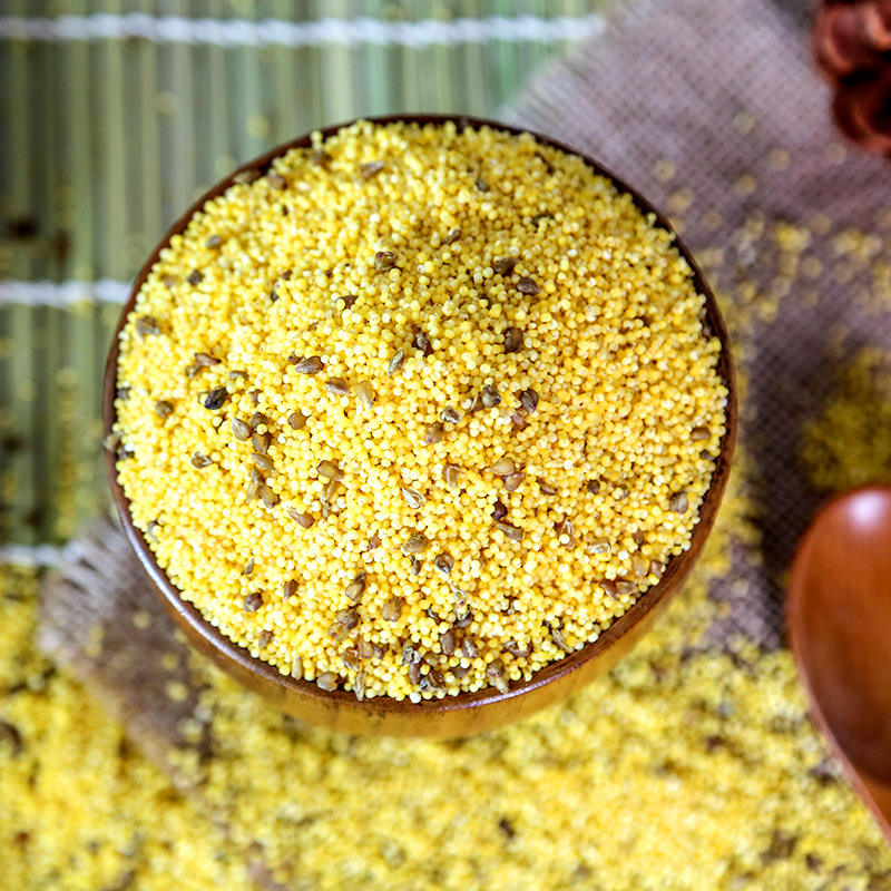 ���ɳ�����С����500g����Ŵ���ӱ�����֬���������������