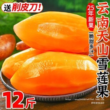 ��ɽѩɏ��12�����rˮ������������ЋD�t��ѩ�B���S����������]