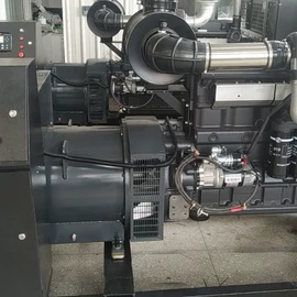 燃气发电机组;柴油发电机组