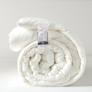 Meiji Nishikawa Cotton Quilt Winter Quilt Spring and Autumn Quilt Thin Summer Quilt Air-conditioning Quilt Quilt Core Export to Japan