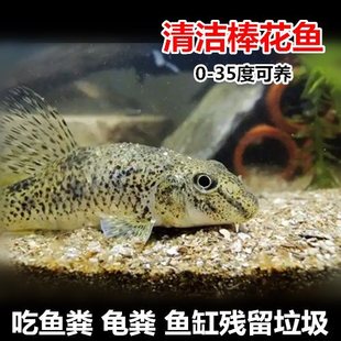 �����~ ���A���~ ��ˮ����� ��ʳ��� ������� �o��ӟ���]