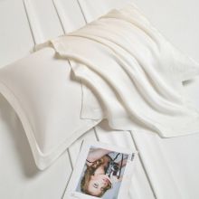 跨境出口重磅100支天丝枕套夏季冰丝枕头套真丝枕芯套48X74cm枕巾