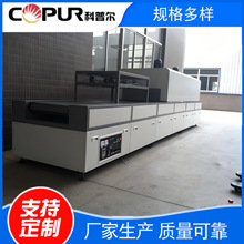 不锈钢网带隧道炉 支持定制温控精准烘干机节能耐高温