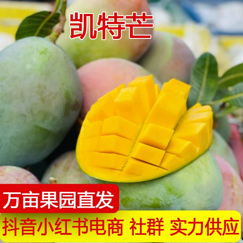 Аутентичное манго Кейт, свежие сезонные фрукты, свежие сезонные зеленые манго, Паньчжихуа, манго Кейт, большое манго оптом
