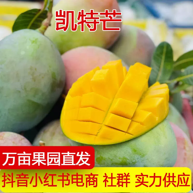 正宗凯特芒果新鲜时令水果新鲜当季青芒果攀枝花凯特芒大芒果批发