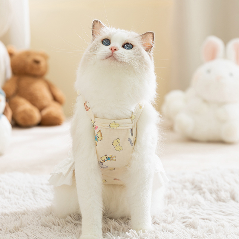 가을 겨울 고양이 옷, 스커트, 리본 레이스, 이중 배 보호, 가정복, 조끼, 스커트, 강아지 애완 동물 옷
