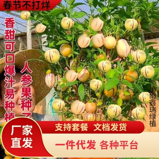 �˅����箔��Y�� �ѹϹ����� �������� ������ ����ʳ���L�۹���