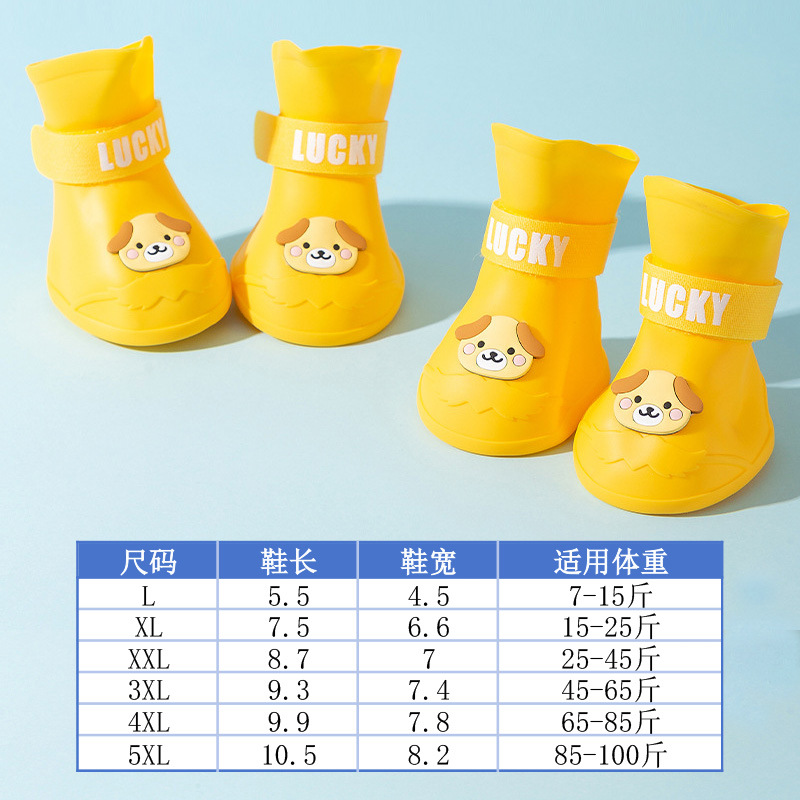 노란 강아지