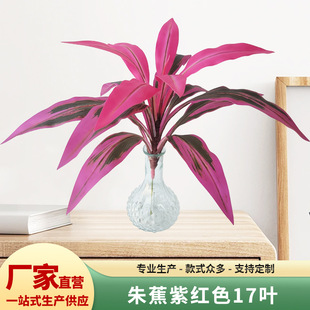 �콶�ϼtɫ17�~�����֧�콶����ֲ�������쾰�콶�Gֲ��������