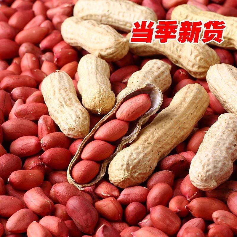 2024年新鲜现挖晒干四粒红带壳生花生红皮花生米原味炒熟农家自产|undefined
