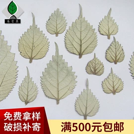 工艺原料;植物工艺品;书签