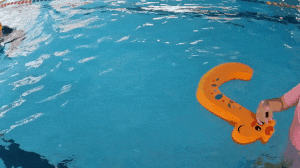 7月15日 (1)(6).gif