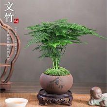 ��������ֲ���҃Ȼ����辰�͏d���B����ļ������k��������С�Gֲ