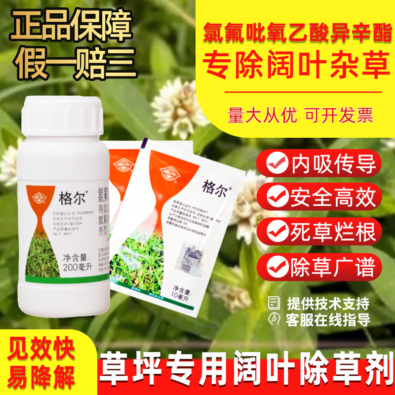 国光格尔氯氟吡氧乙酸一年生阔叶杂草水花生马尼拉草坪专用除草剂