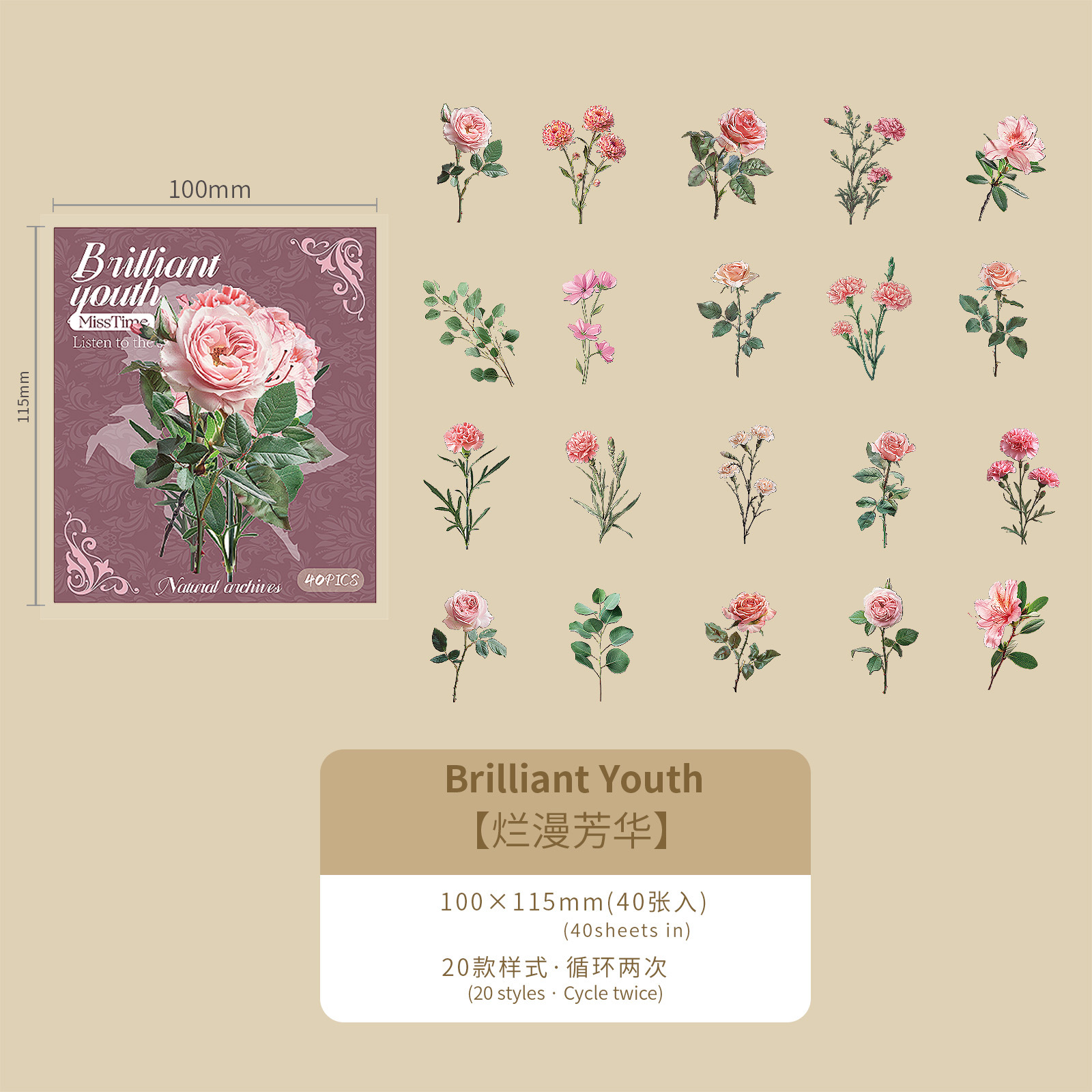 Diez mariposas brillantes tema de la caja de fotos, archivo natural serie de hongos creativos caja de fotos de fotos de fotos de fotos