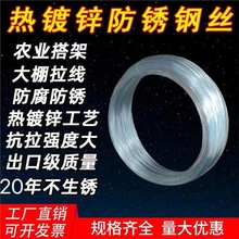 热镀锌钢丝16号12号10号手工用钢丝镀锌防锈钢丝大棚葡萄编织拉线