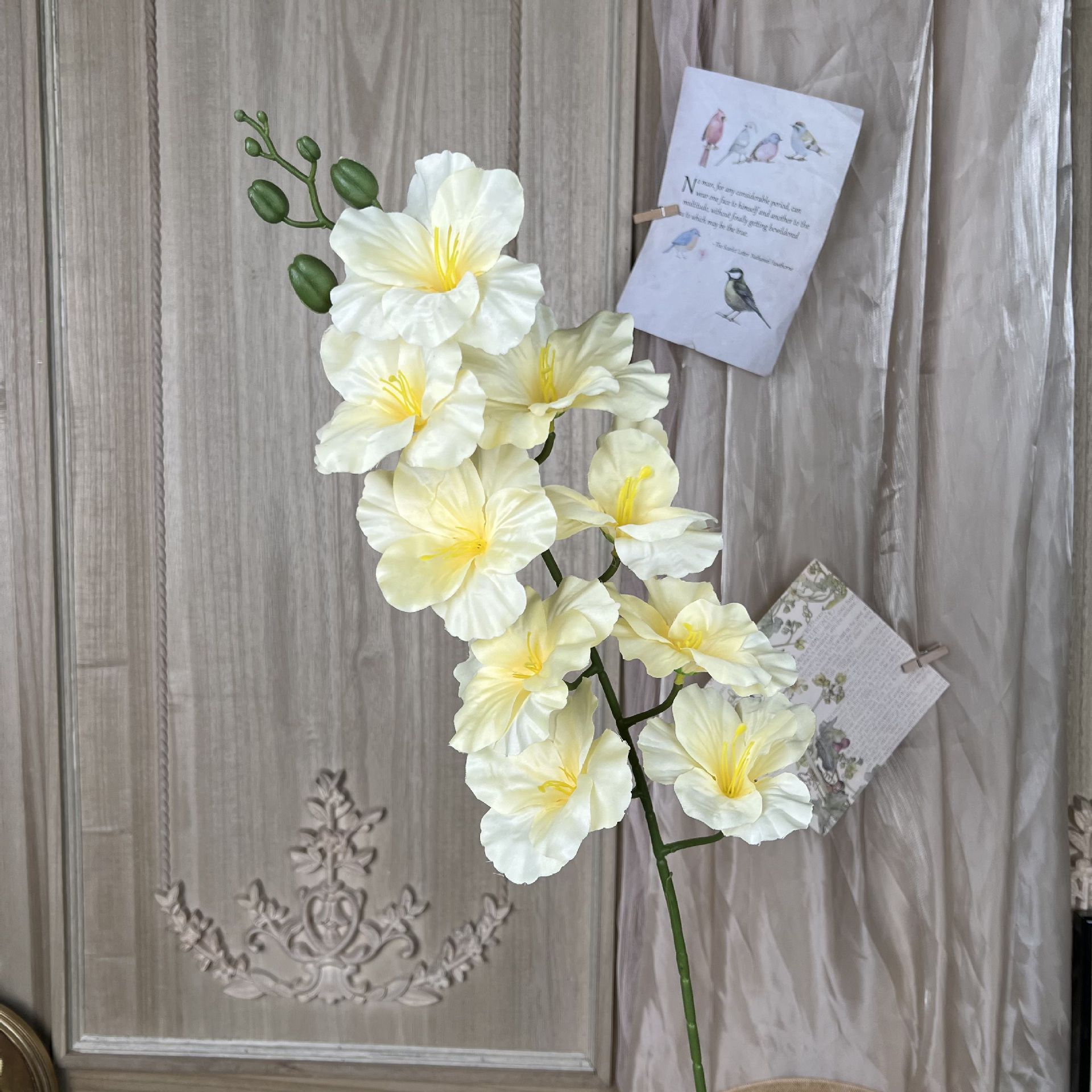 K-gladioli-샴페인
