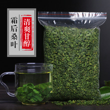 霜后桑叶茶非野生正品桑葚叶冬桑叶冻干桑叶茶新鲜正品散装500g