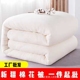 新疆棉被棉絮棉胎棉花春秋单人褥子加厚学生被子纯棉保暖被芯批发